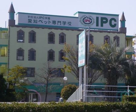 IPC社