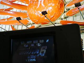 かに道楽のカニにプラグイン！